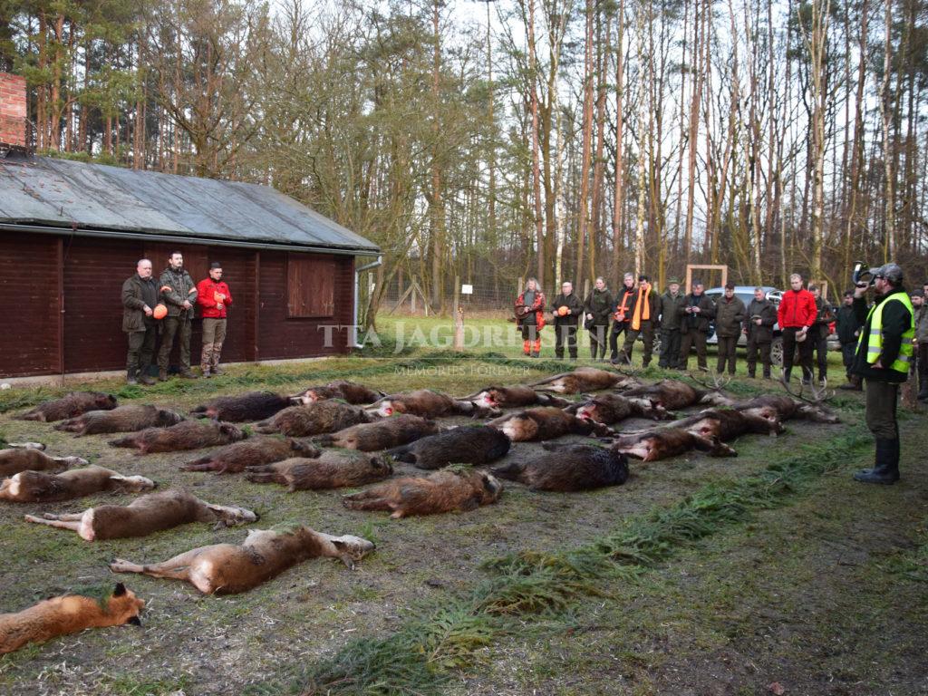 drueckjagd-polen