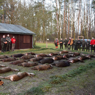 drueckjagd-polen