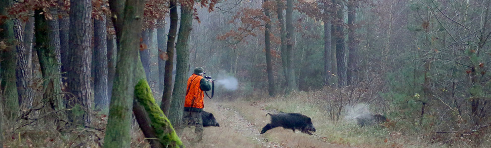   Kleine Drückjagd Schlesien