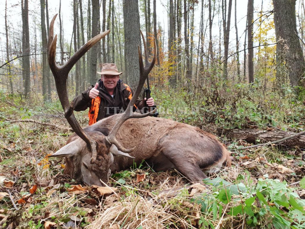 Kaufen Sie einen Jagdschein in Österreich